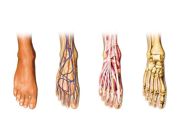 Advanced Podiatry  Metro Tulsa Foot & Ankle Specialists